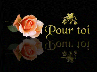 pour  toi
